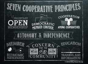 Seven Cooperative Principles – Willy Street