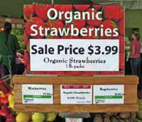 organic_strawberries.jpg
